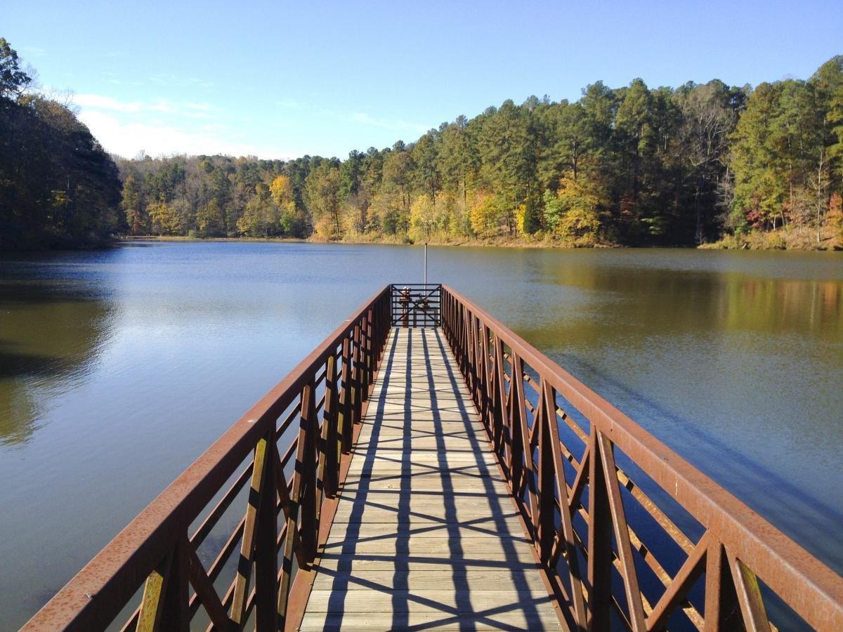 Summer Adventures: Top Parks Around Raleigh