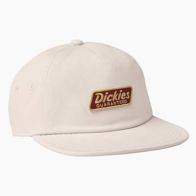 Dickies Skateboarding Relaxed Low Pro Cap