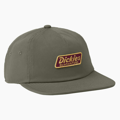 Dickies Skateboarding Relaxed Low Pro Cap