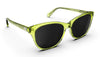 Blenders Palmy Sunglasses Eyewear Blenders