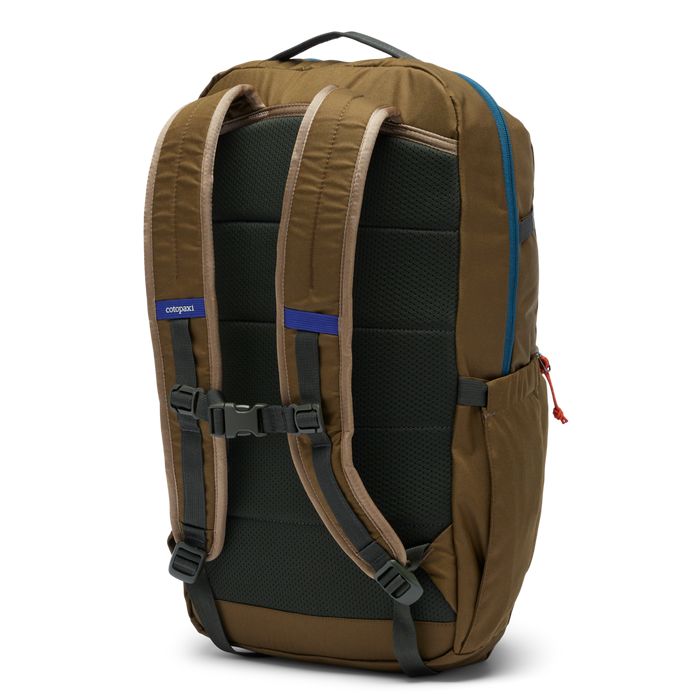 Cotopaxi Chiquillo 26L Backpack Bags & Packs Cotopaxi Live Oak 