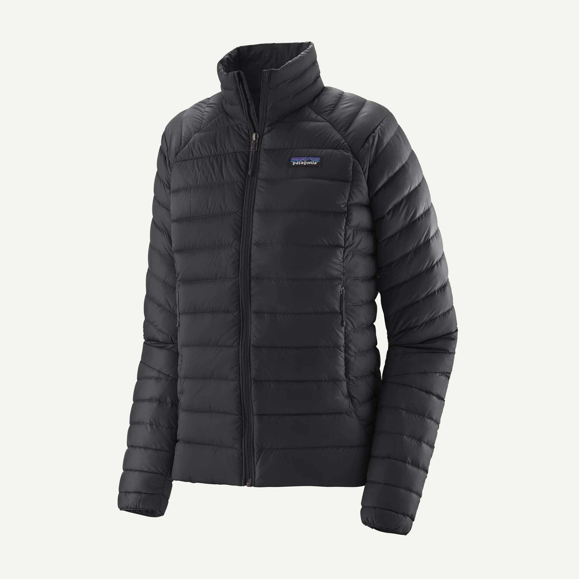Patagonia Down Sweater - Women's Jackets & Fleece Patagonia Black XS