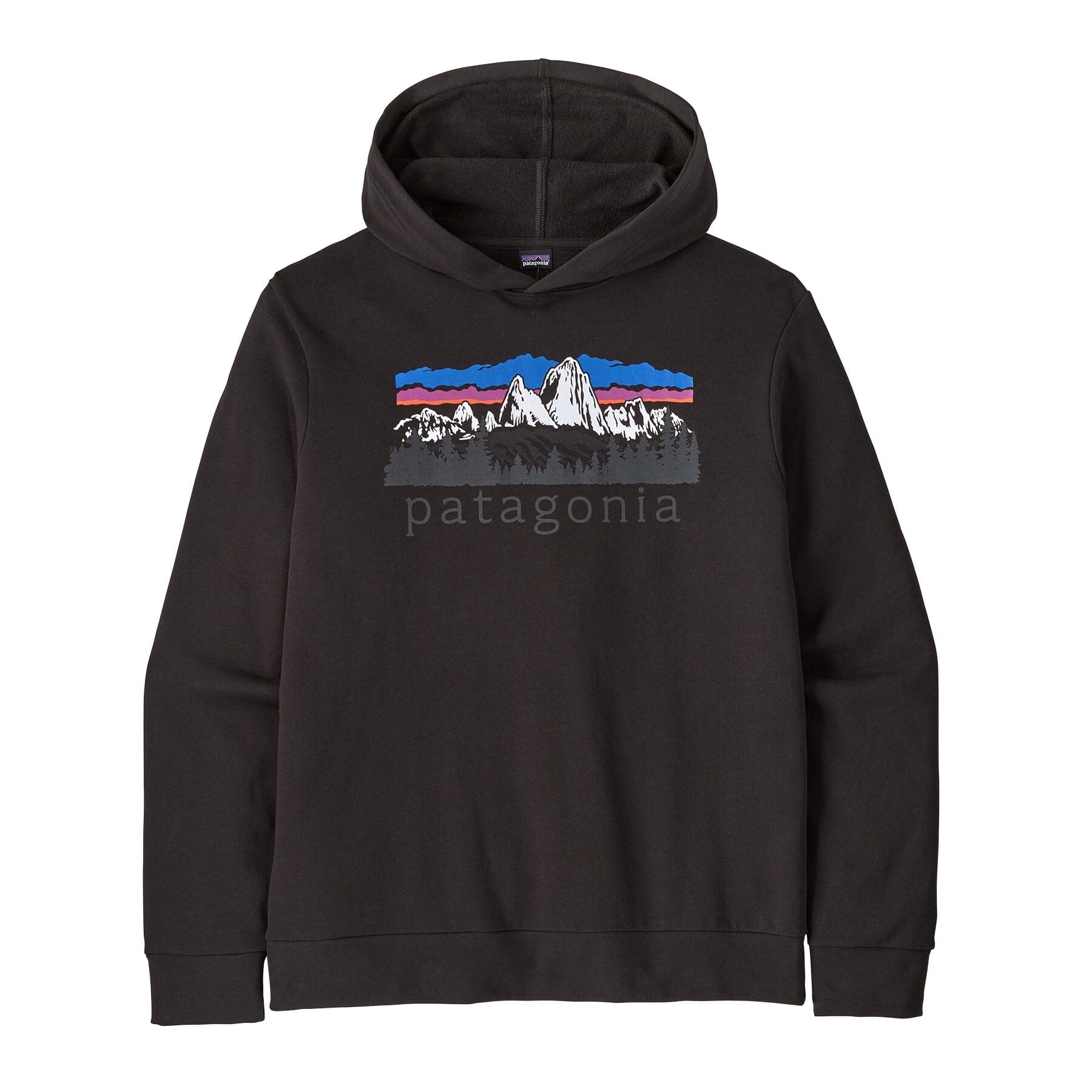 Patagonia Fitz Roy Foothills Daily Hoody - Men's Men's Casual Sweatshirts Patagonia Black M