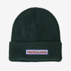 Patagonia Kids' Logo Beanie Hats Patagonia Chill: Conifer Green