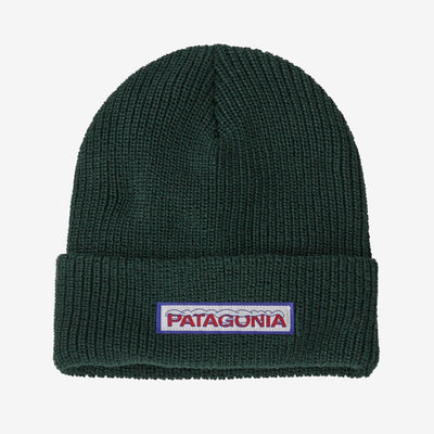 Patagonia Kids' Logo Beanie Hats Patagonia Chill: Conifer Green