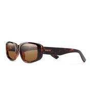 Tortoise/Polarized Brown
