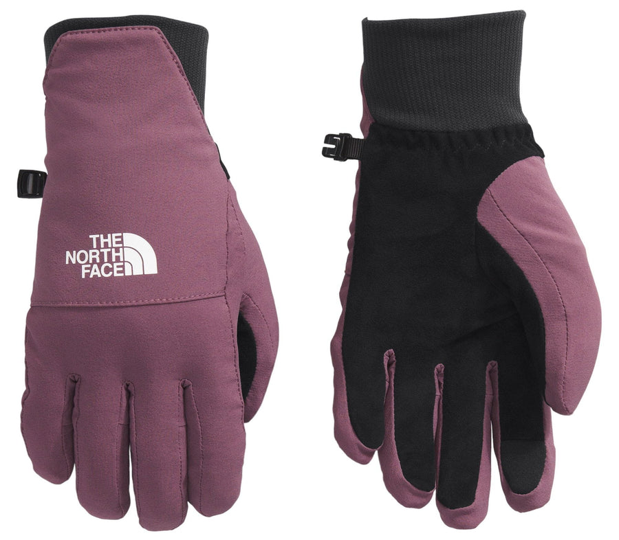 The North Face Shelbe Raschel Etip™ Glove - Women's Gloves The North Face 