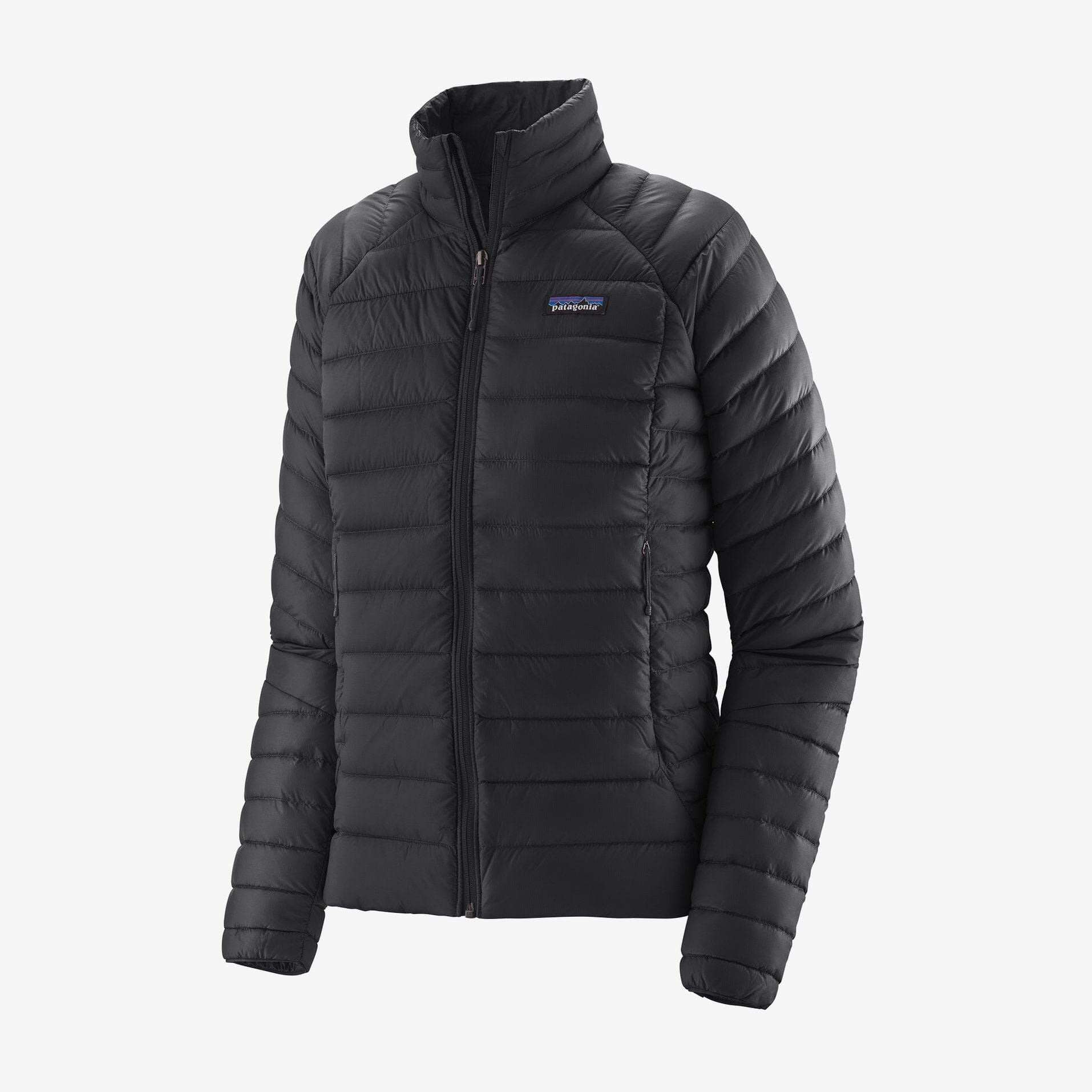 Patagonia Down Sweater - Women's Jackets & Fleece Patagonia Black XS